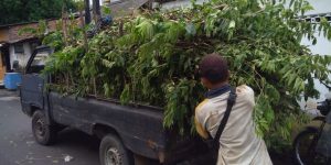 jasa-angkut-sampah