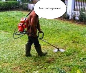 jasa-potong-rumput