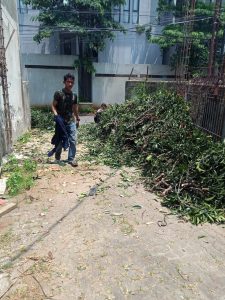 jasa-tebang-pohon-dki-jakarta