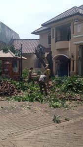 jasa-tebang-pohon-jakarta