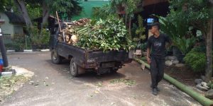 jasa-buang-sampah