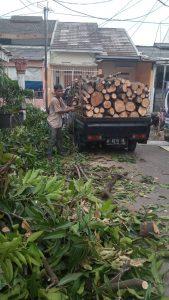 jasa-tebang-pohon-jakarta