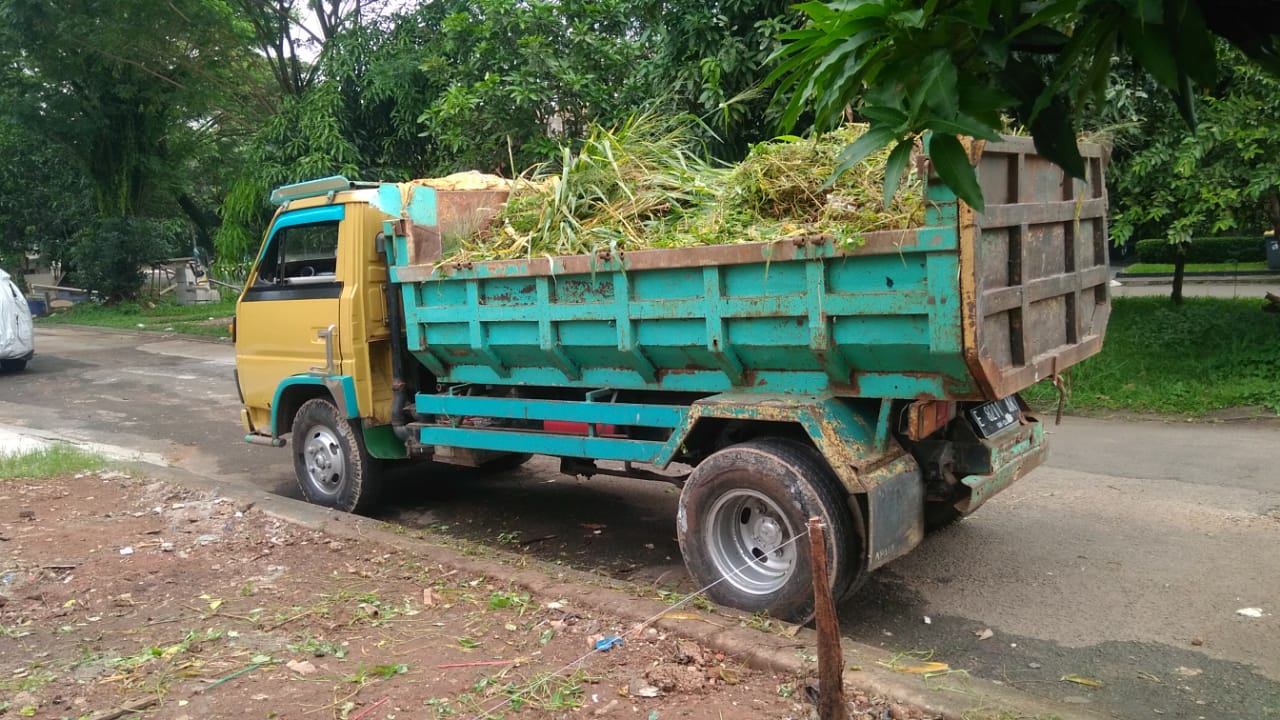 jasa-buang-sampah-tebangan