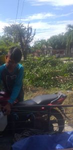 jasa-tebang-pohon-lampung