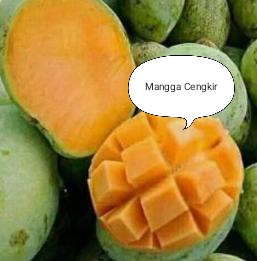 mangga-cengkir